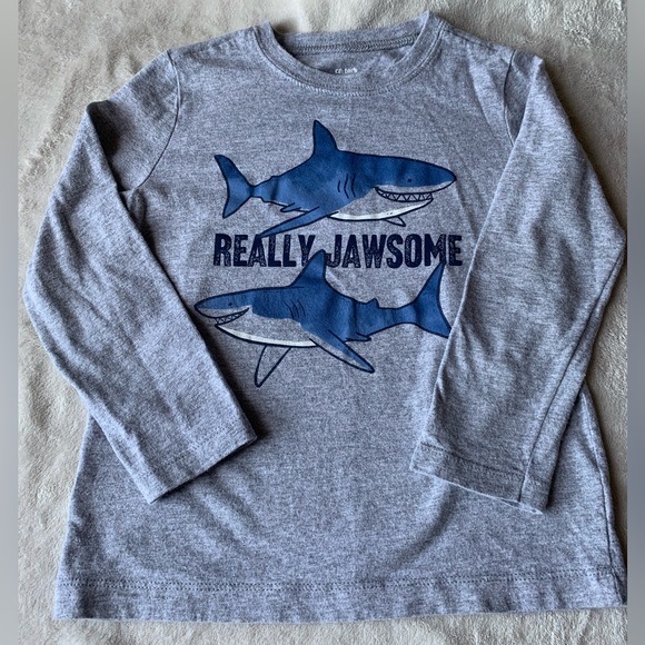 Carter’s Bundle of 4 long sleeve Size 3T - Picture 2 of 7